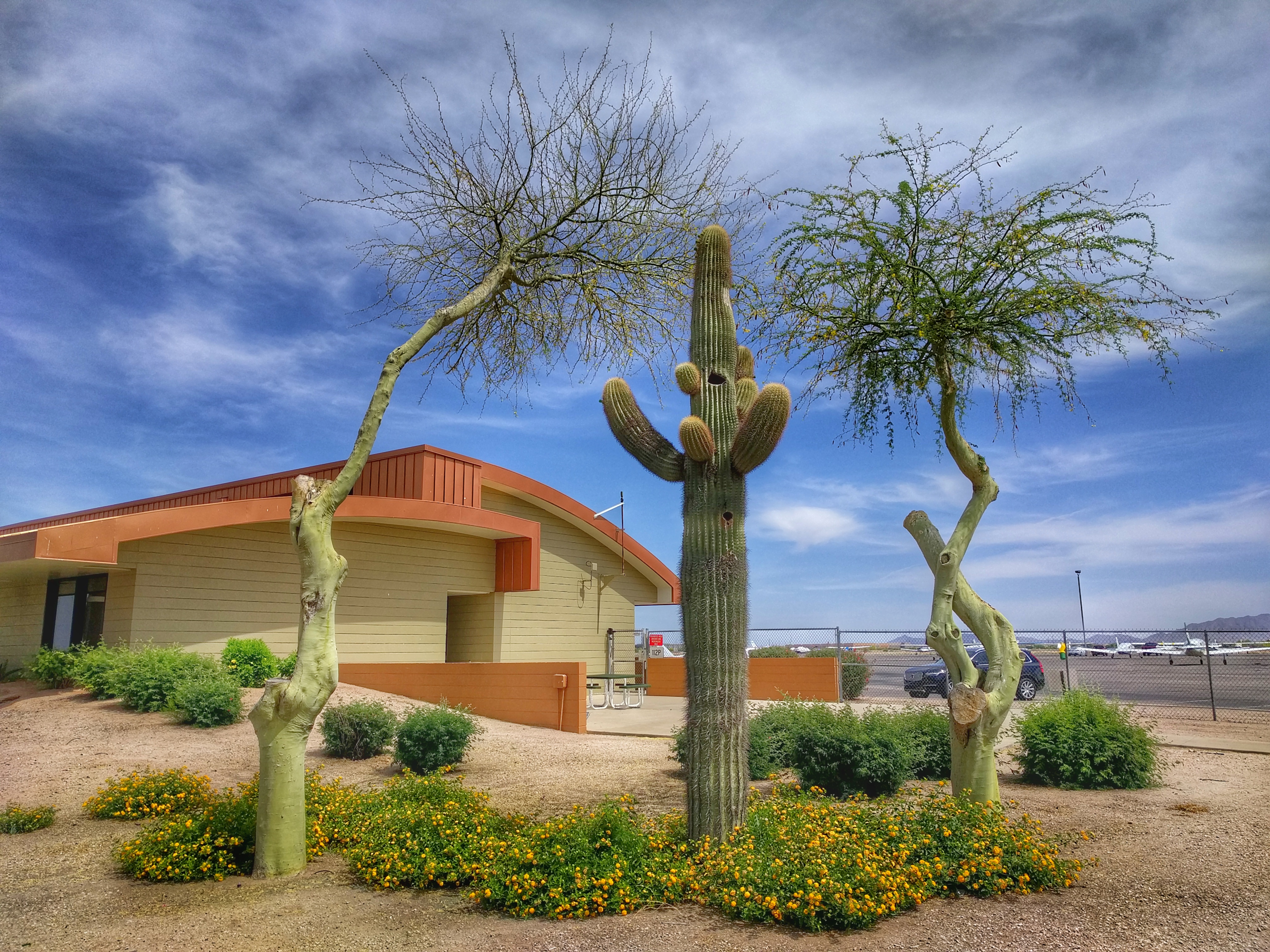 Desert Landscape